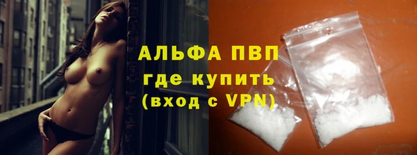 стафф Корсаков