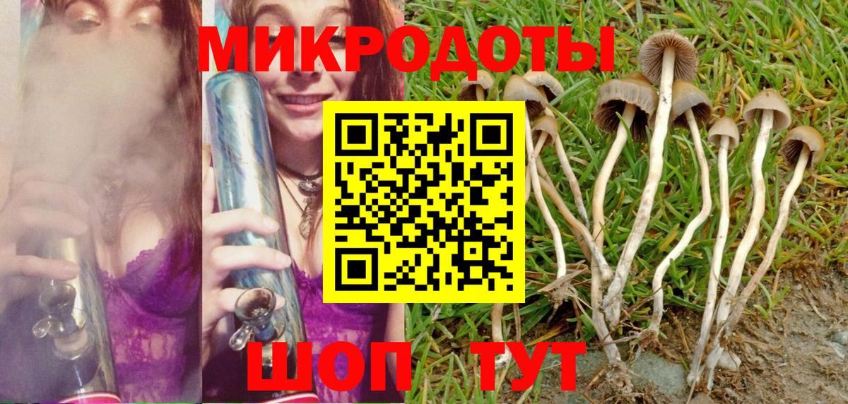 Псилоцибиновые грибы GOLDEN TEACHER  Галлюциногенные грибы Magic Shrooms  Балаково  Вход с VPN 