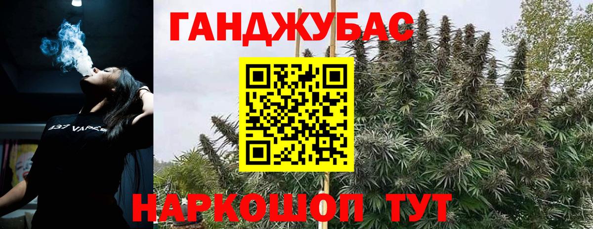 Марихуана индика  Балаково  Конопля план 